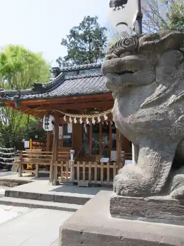 川越熊野神社の狛犬