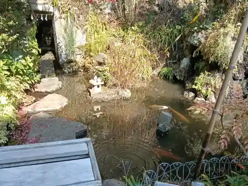 金比羅神社の{uncategorized: "未分類", other: "その他", undefined: "問題あり", building: "その他建物", grave: "お墓", sacred_gate: "鳥居", guardian: "狛犬", statue: "像", buddha: "仏像", history: "歴史", nature: "自然", garden: "庭園", animal: "動物", pagoda: "塔", temizu: "手水舎", mountain_gate: "山門・神門", sanctuary: "本殿・本堂", subordinate: "末社・摂社", art: "芸術", scenery: "景色", jizo: "地蔵", ema: "絵馬", goshuin: "御朱印", omikuji: "おみくじ", items: "授与品その他", amulet: "お守り", goshuincho: "御朱印帳", eats: "食事", festival: "お祭り", votive_dance: "神楽", shichigosan: "七五三参", wedding: "結婚式", experience: "体験その他", initially: "初詣", around: "周辺", anti_infection: "感染症対策"}
