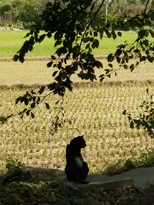 高司神社〜むすびの神の鎮まる社〜(福島県)