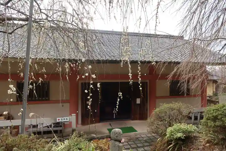 如意輪寺(奈良県)