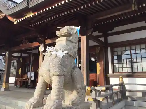 赤穂大石神社の狛犬