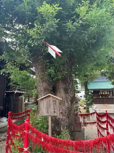 三輪神社(愛知県)