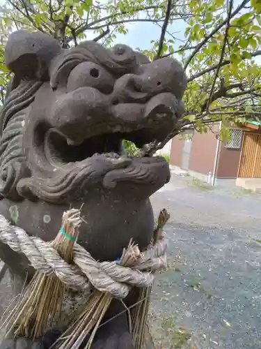 駛馬天満宮の狛犬