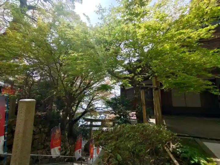 宝厳寺の{uncategorized: "未分類", other: "その他", undefined: "問題あり", building: "その他建物", grave: "お墓", sacred_gate: "鳥居", guardian: "狛犬", statue: "像", buddha: "仏像", history: "歴史", nature: "自然", garden: "庭園", animal: "動物", pagoda: "塔", temizu: "手水舎", mountain_gate: "山門・神門", sanctuary: "本殿・本堂", subordinate: "末社・摂社", art: "芸術", scenery: "景色", jizo: "地蔵", ema: "絵馬", goshuin: "御朱印", omikuji: "おみくじ", items: "授与品その他", amulet: "お守り", goshuincho: "御朱印帳", eats: "食事", festival: "お祭り", votive_dance: "神楽", shichigosan: "七五三参", wedding: "結婚式", experience: "体験その他", initially: "初詣", around: "周辺", anti_infection: "感染症対策"}
