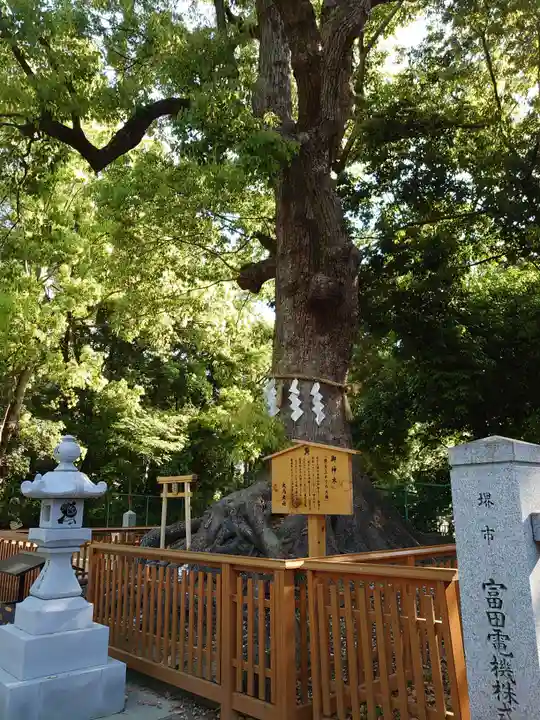 和泉國一之宮 大鳥大社の自然