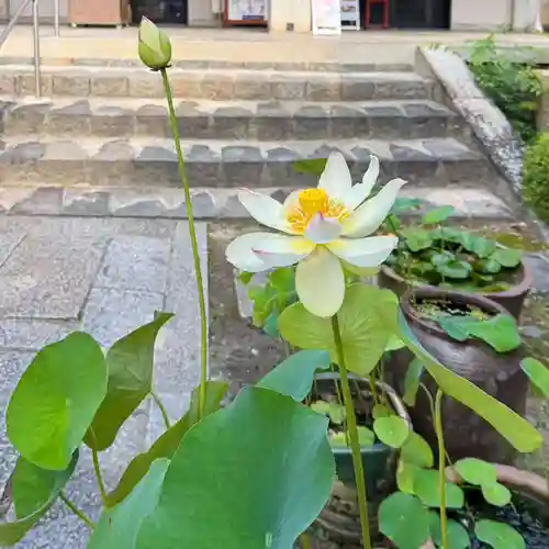 伊勢の国 四天王寺(三重県)