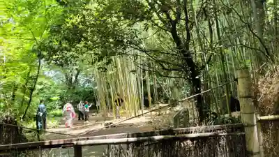 野宮神社(京都府)
