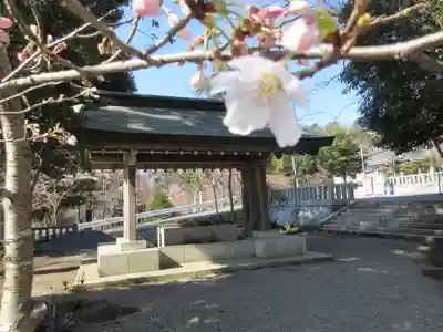 茨城縣護國神社の手水舎