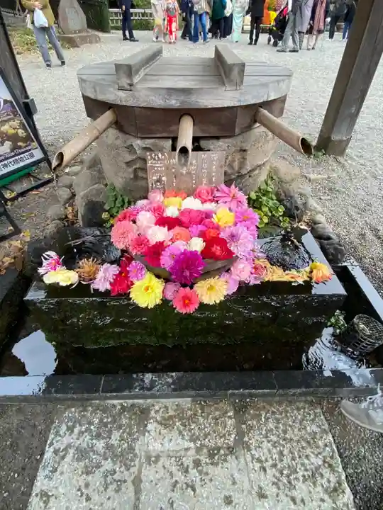 深大寺(東京都)