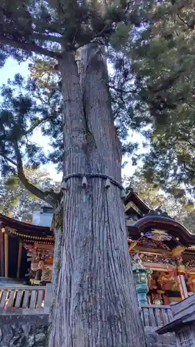 三峯神社(埼玉県)