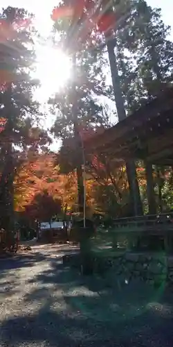 日吉大社の建物その他