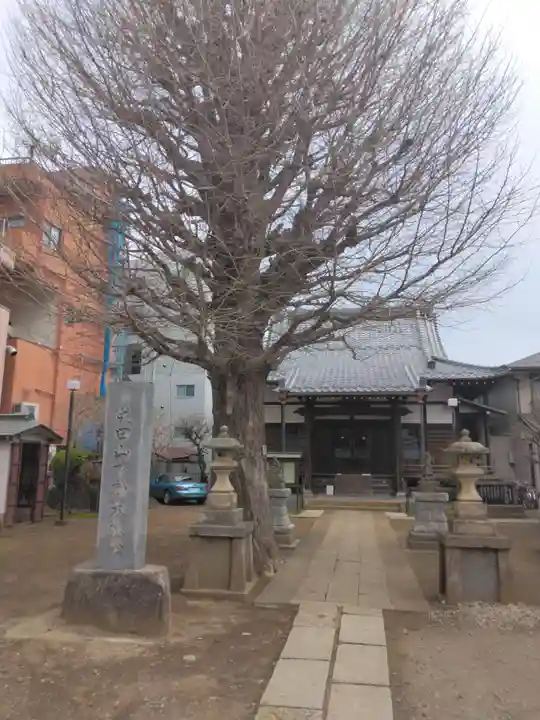 成田山不動大教会(東京都)
