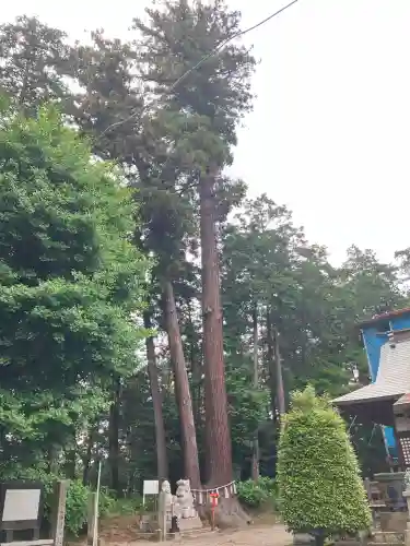 磯山神社(栃木県)