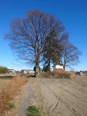 松森稲荷神社(埼玉県)