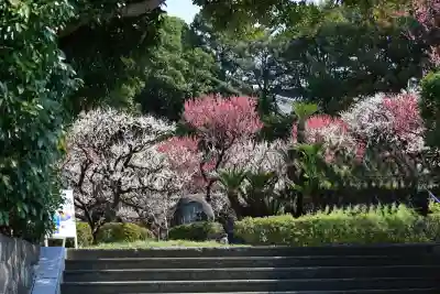 梅林寺(福岡県)