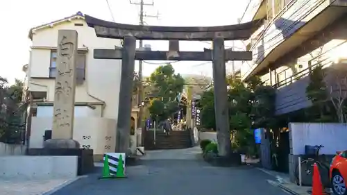 白山神社の鳥居
