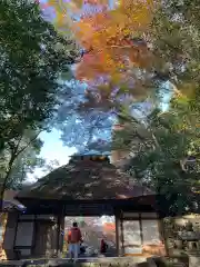 法然院(京都府)