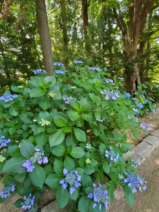 三春大神宮の庭園