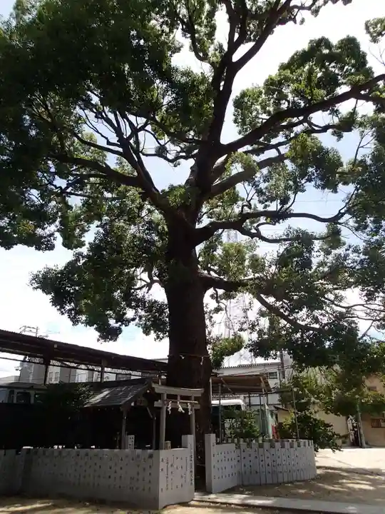 阿麻美許曽神社のその他建物