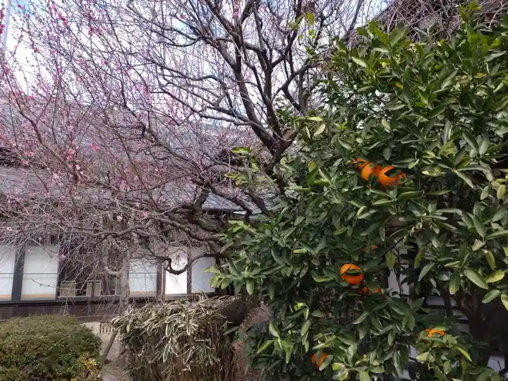 大國魂神社(東京都)
