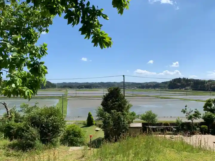 琴平神社の周辺