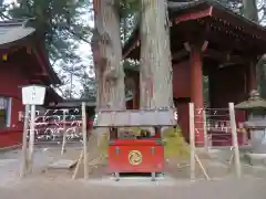 日光二荒山神社の自然