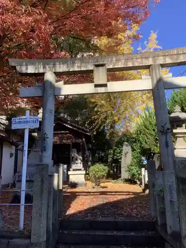 若宮八幡社（氷室八幡社）の鳥居