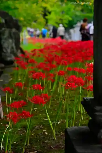 横浜　西方寺(神奈川県)