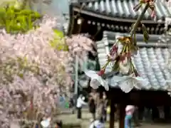 頂法寺（六角堂）(京都府)