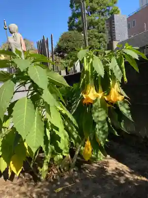 金藏院(神奈川県)