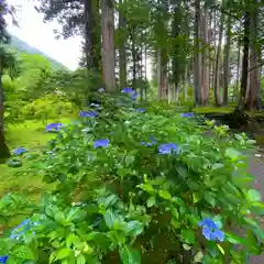 古峯神社の自然