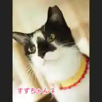 天王山 安楽寺(福井県)