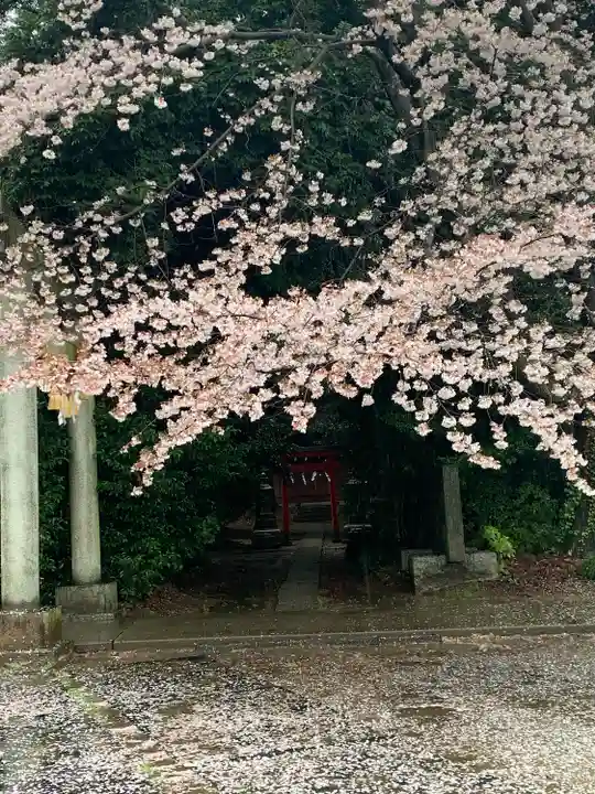 前玉神社(埼玉県)