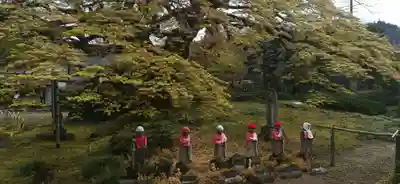 西善寺(埼玉県)