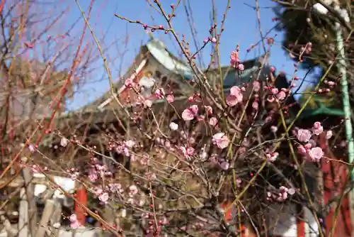 亀戸天神社のその他建物