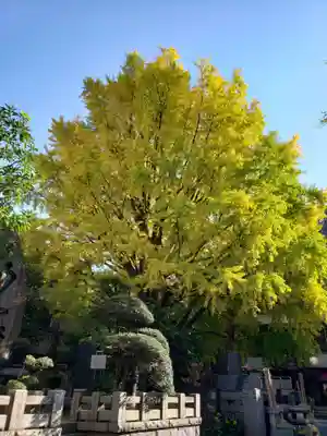 回向院(東京都)