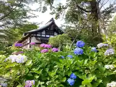 本土寺(千葉県)