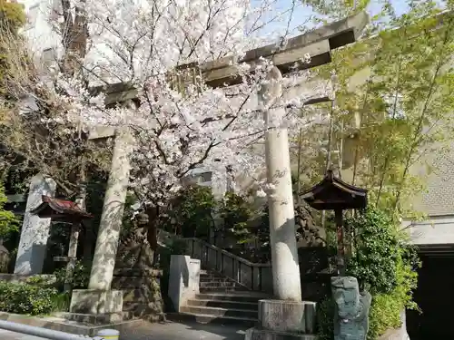 雉子神社の鳥居