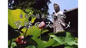 蓮久寺(千葉県)(2022年02月25日(金) 23時33分47秒投稿)