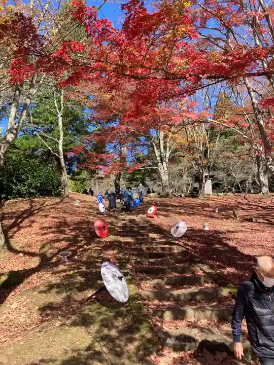 土津神社|こどもと出世の神さま(福島県)