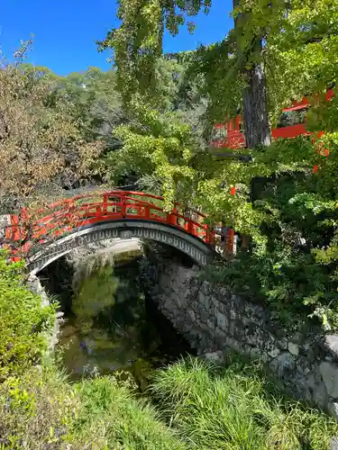 賀茂御祖神社（下鴨神社）(京都府)
