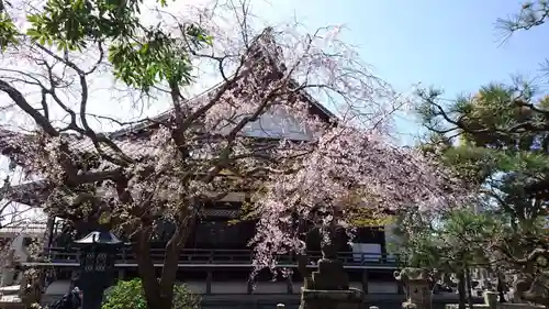 本覚寺の本殿・本堂