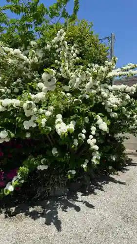 吉祥草寺(奈良県)