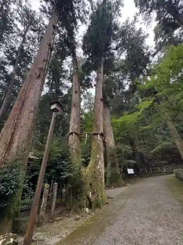最乗寺（道了尊）(神奈川県)