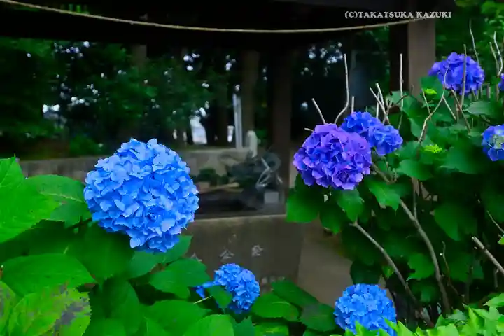 篠原八幡神社(神奈川県)