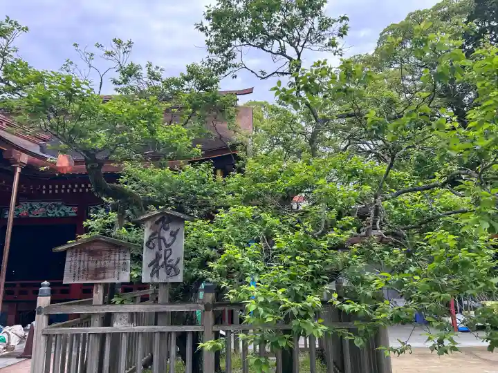 太宰府天満宮の{uncategorized: "未分類", other: "その他", undefined: "問題あり", building: "その他建物", grave: "お墓", sacred_gate: "鳥居", guardian: "狛犬", statue: "像", buddha: "仏像", history: "歴史", nature: "自然", garden: "庭園", animal: "動物", pagoda: "塔", temizu: "手水舎", mountain_gate: "山門・神門", sanctuary: "本殿・本堂", subordinate: "末社・摂社", art: "芸術", scenery: "景色", jizo: "地蔵", ema: "絵馬", goshuin: "御朱印", omikuji: "おみくじ", items: "授与品その他", amulet: "お守り", goshuincho: "御朱印帳", eats: "食事", festival: "お祭り", votive_dance: "神楽", shichigosan: "七五三参", wedding: "結婚式", experience: "体験その他", initially: "初詣", around: "周辺", anti_infection: "感染症対策"}