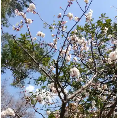 彌彦神社　(伊夜日子神社)の自然