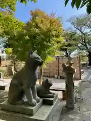 時宗総本山 遊行寺（正式：清浄光寺）の狛犬