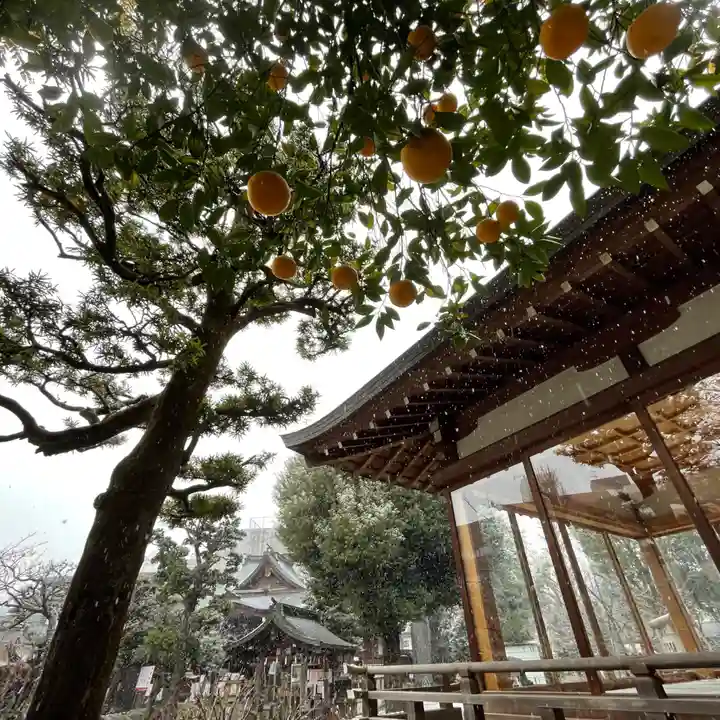 鳩森八幡神社のその他建物