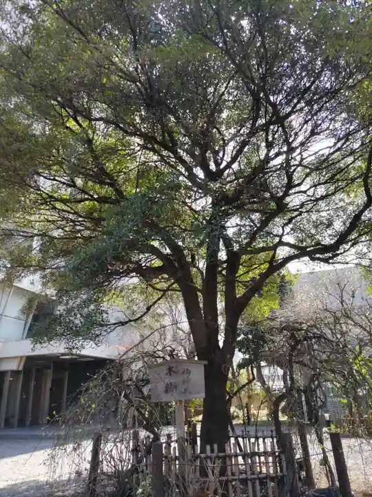 牛天神北野神社の自然